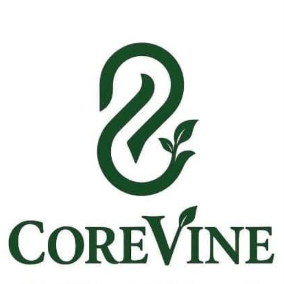CoreVine Technologies logo